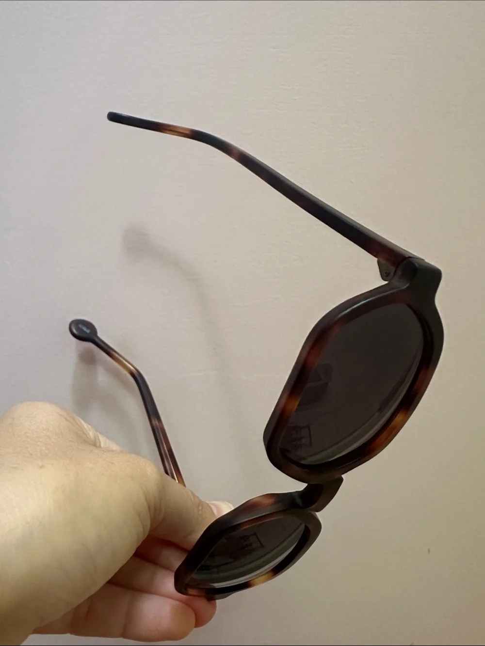 Vintage L.A. Eyeworks Wally M123 Tortoiseshell Geometric Sunglasses